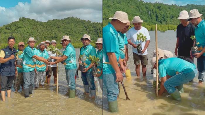Aksi Nyata di Pesisir Nuangan! Bupati Oskar Pimpin Tanam Mangrove dan Bersih Pantai